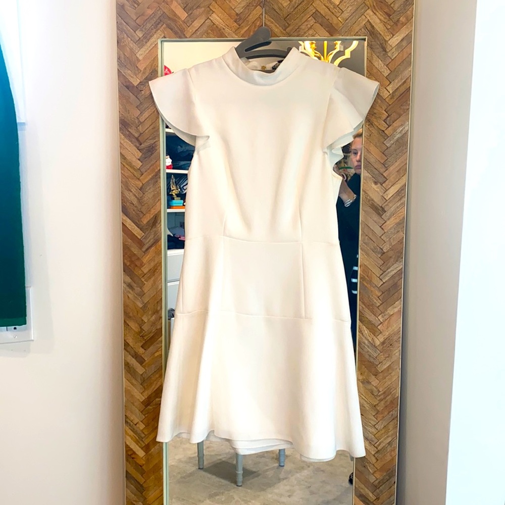 Rachel Zoe ruffle sleeve dress
